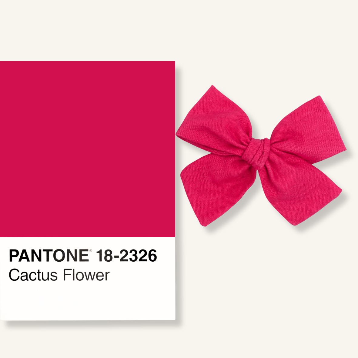 Classic Mini // Cactus Flower