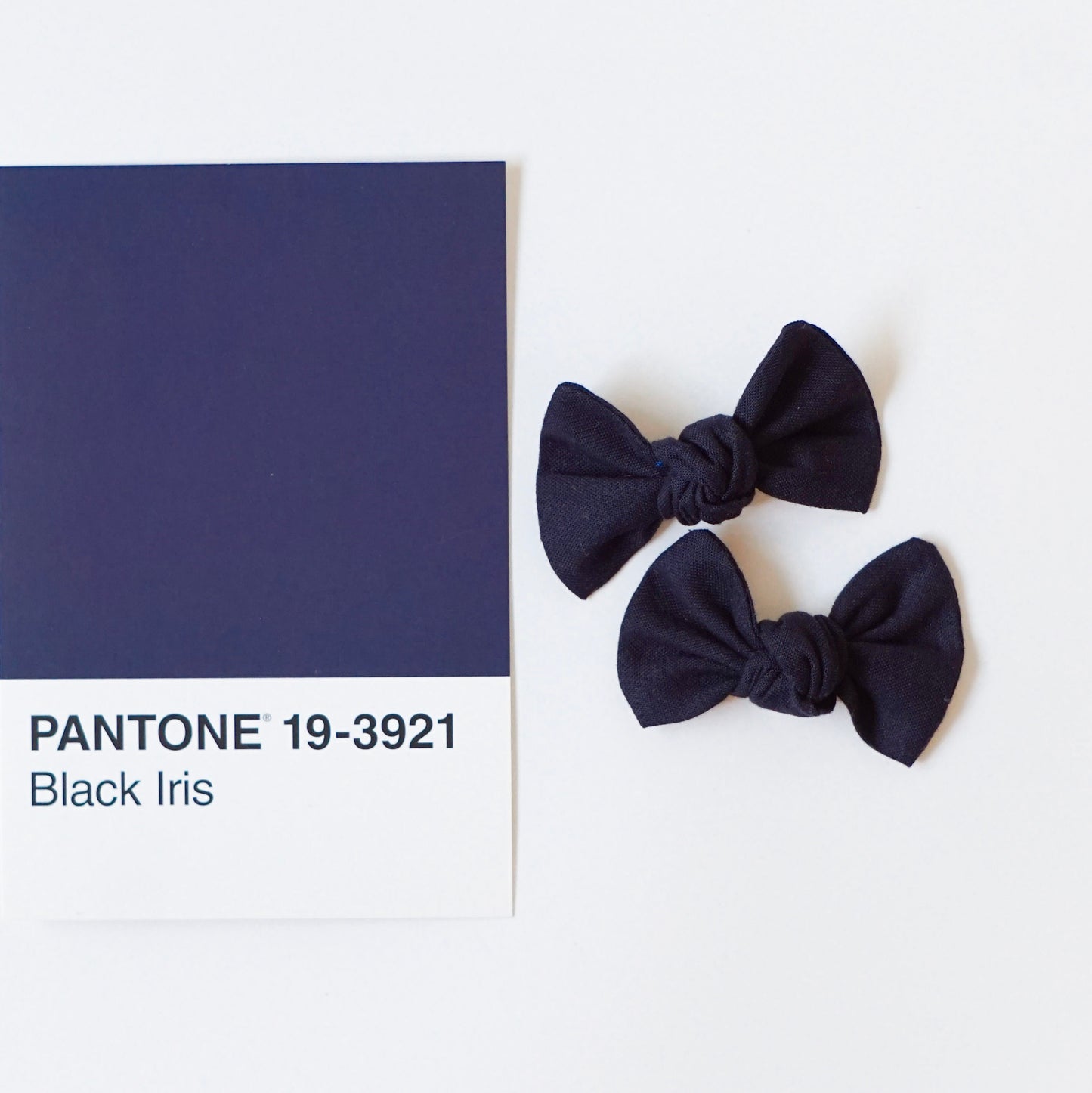 Kitty // Black Iris