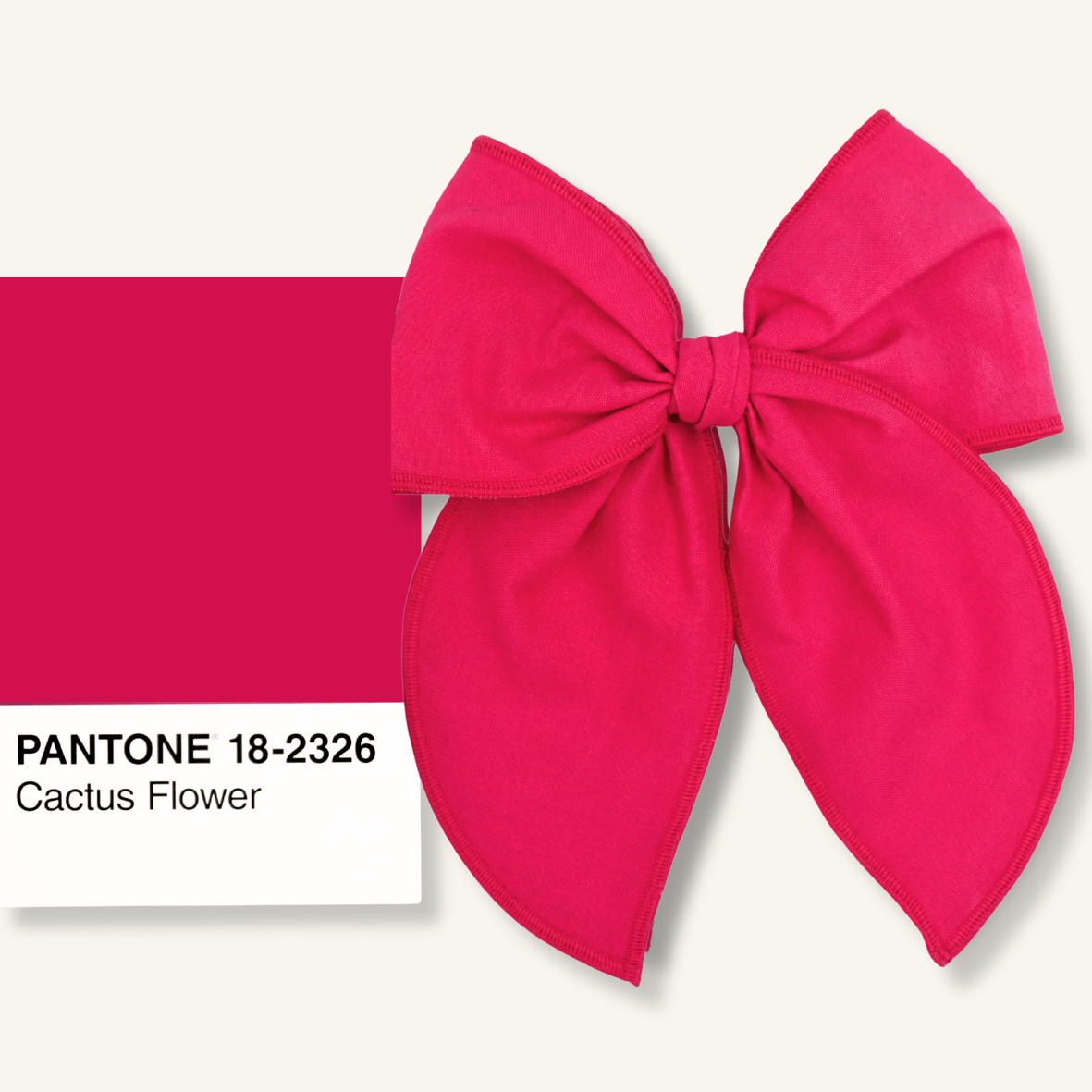 Marie // Cactus Flower