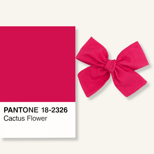 Classic Mini // Cactus Flower