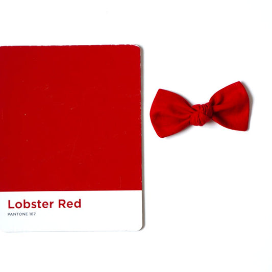 Kitty // Lobster Red