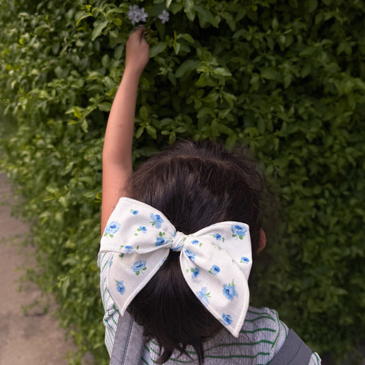 Marie Ballerina // Blue Roses